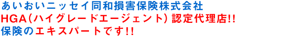 あいおいニッセイ同和損害保険株式会社保険専属J特級認定代理店!!保険のエキスパートです!!
